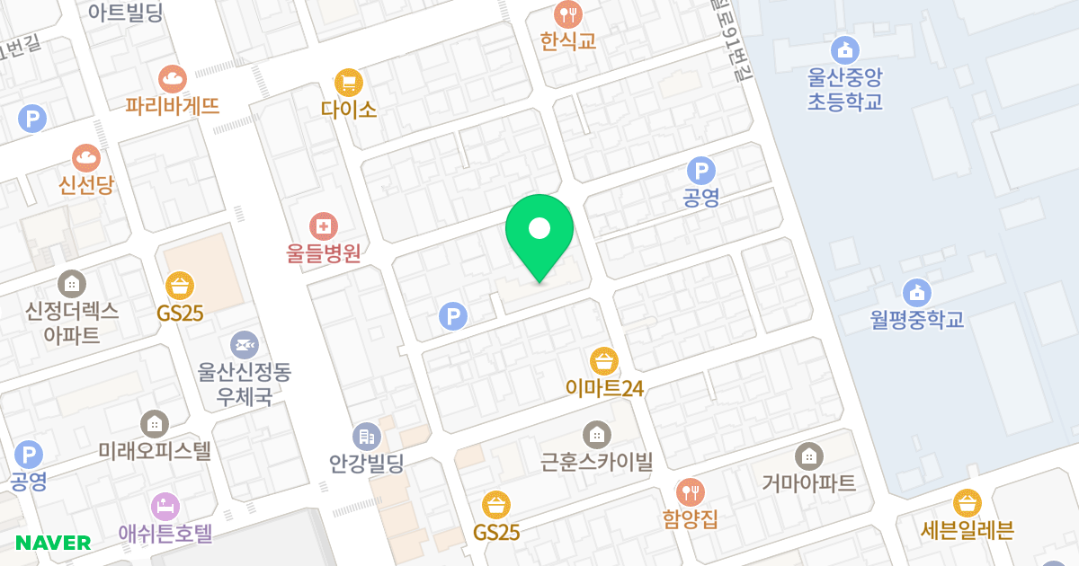 신정동 아드리아 위치 지도 - 울산광역시 남구 돋질로81번길 27