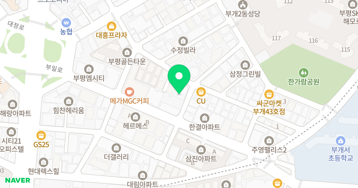휴플러스2차 위치 지도 - 인천광역시 부평구 부일로19번길 7