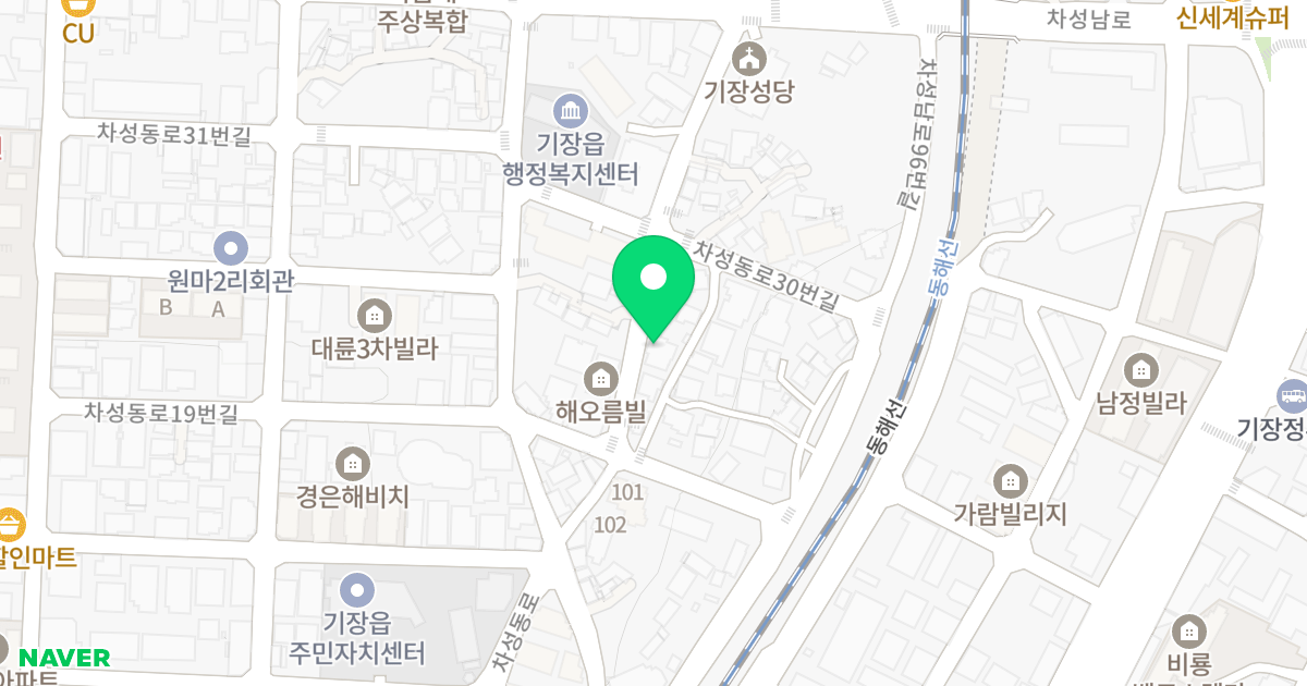 위클라우드 17차 위치 지도 - 부산광역시 기장군 기장읍 차성남로88번길 29