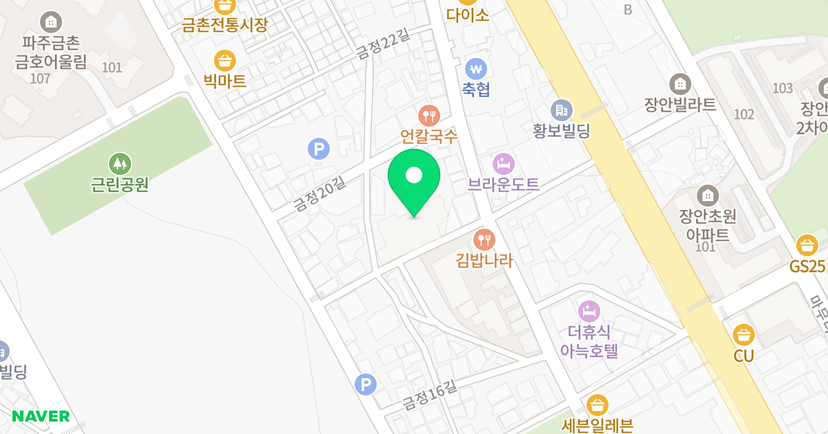 파주 금촌 에이스큐브 위치 지도 - 경기도 파주시 금정18길 17