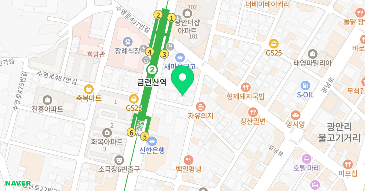이린비치하우스 위치 지도 - 부산광역시 수영구 수영로488번길 9