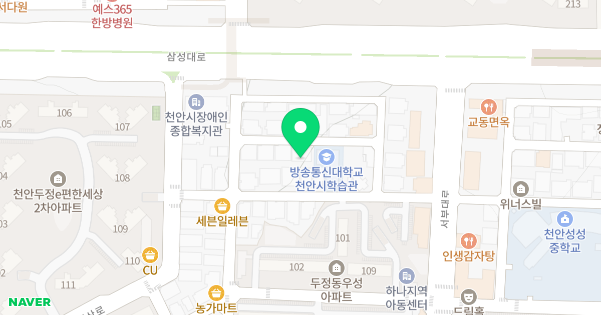 1 위치 지도 - 충청남도 천안시 서북구 두정고2길 52-8