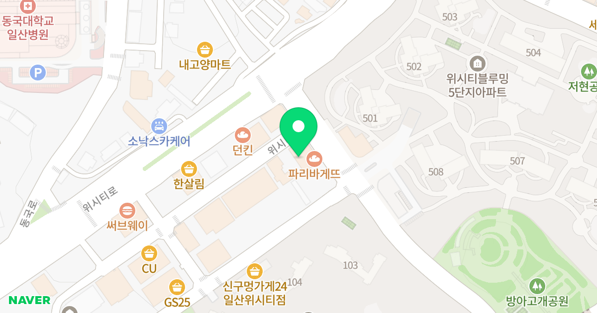 라비채오피스텔 위치 지도 - 경기도 고양시 일산동구 위시티1로 6-5