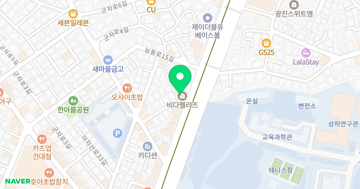 비다펠리즈 위치 지도 - 서울특별시 광진구 능동로 153-1