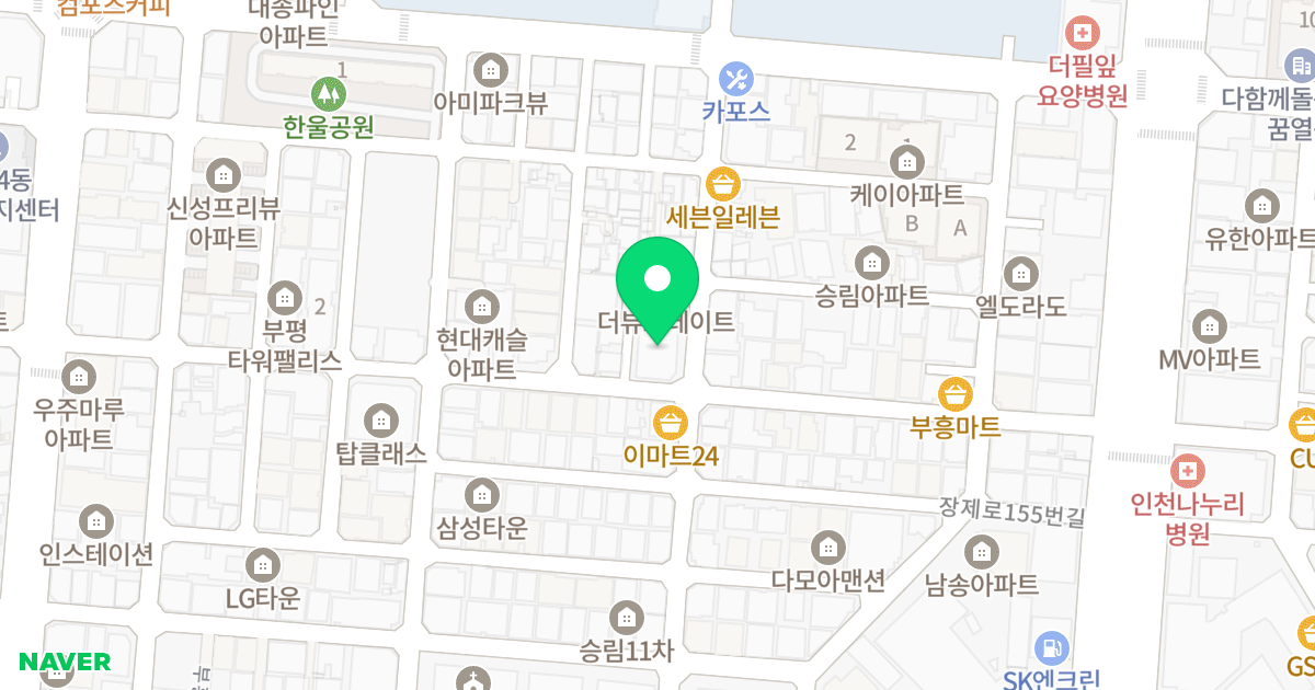 테오(THEO)빌 위치 지도 - 인천광역시 부평구 장제로159번길 38