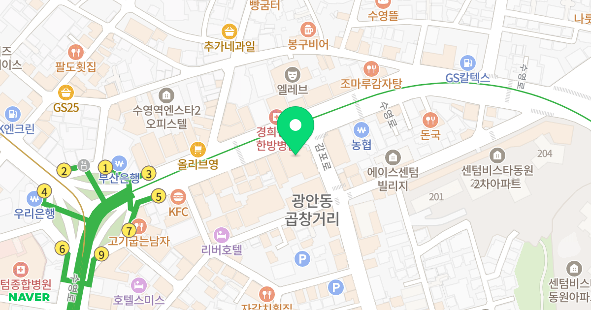 수영역 디온플레이스 어반 위치 지도 - 부산광역시 수영구 수영로 712