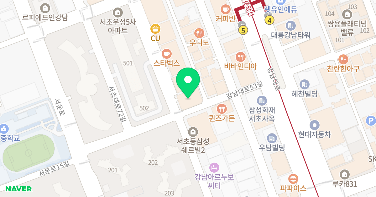 솔라티움시티 강남 위치 지도 - 서울특별시 서초구 강남대로53길 12