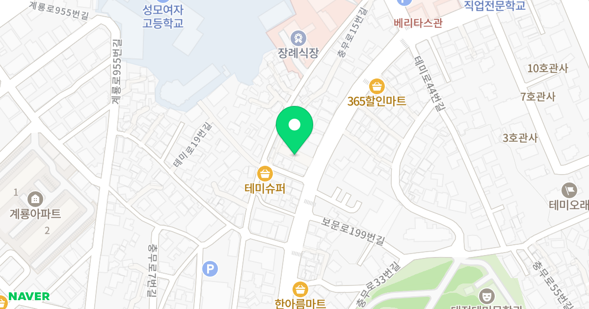 (297-4) 위치 지도 - 대전광역시 중구 테미로 29-1