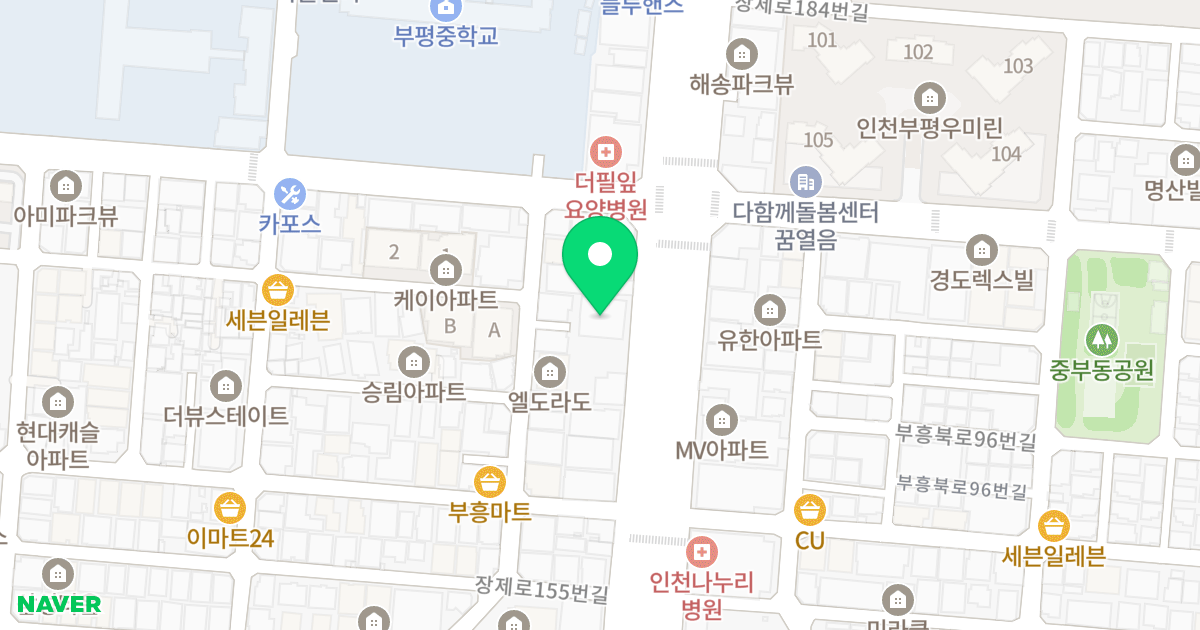 리코팰리스 위치 지도 - 인천광역시 부평구 장제로 167