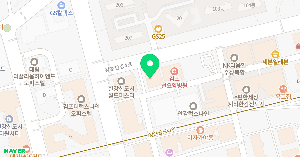 유일 스카이 오피스텔 위치 지도 - 경기도 김포시 김포한강4로 565