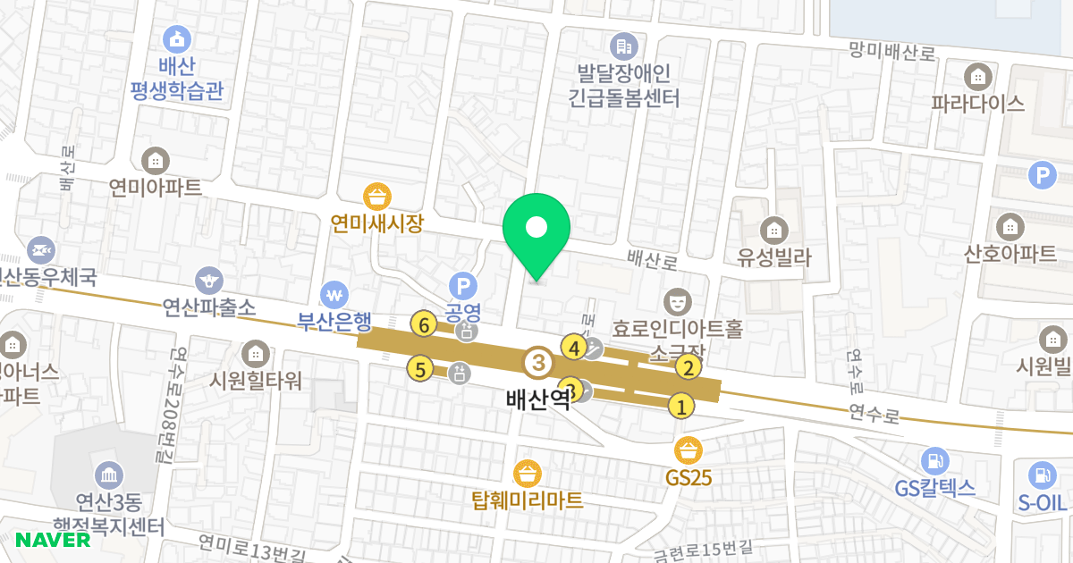 PARK HILLS 위치 지도 - 부산광역시 연제구 연수로225번길 6