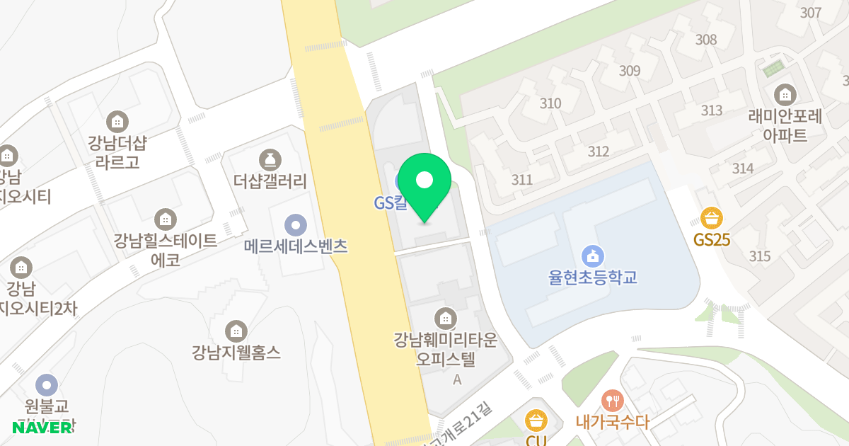 강남블루지움 위치 지도 - 서울특별시 강남구
