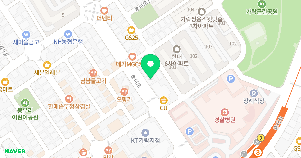 강남팰리스 위치 지도 - 서울특별시 송파구 송이로 107