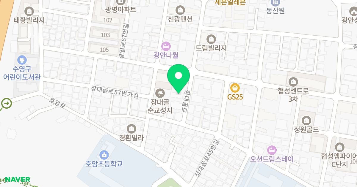 도현탑스빌 위치 지도 - 부산광역시 수영구 장대골로 51-10