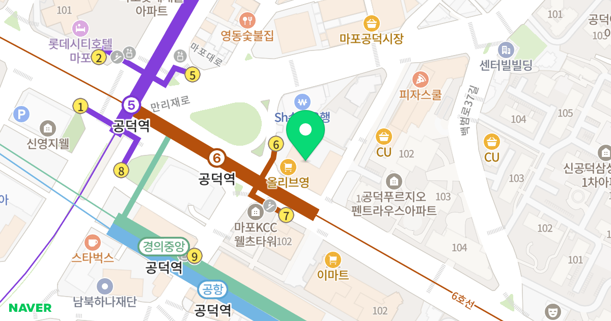 메트로디오빌 위치 지도 - 서울특별시 마포구 백범로 199