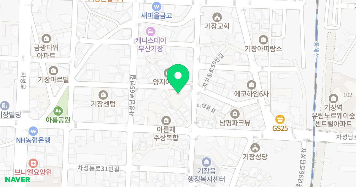 동부산 렉슬 위치 지도 - 부산광역시 기장군 기장읍 차성동로45번길 1