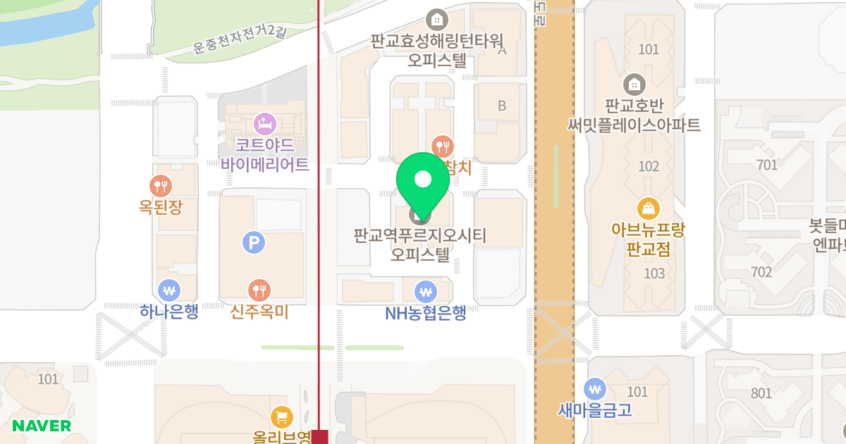 판교역 푸르지오시티 위치 지도 - 경기도 성남시 분당구 대왕판교로606번길 45