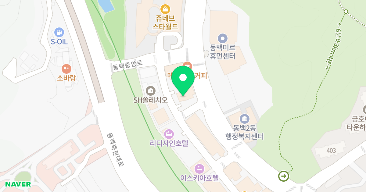 용인 동백역 현성 더 테라스 위치 지도 - 경기도 용인시 기흥구 동백중앙로 219