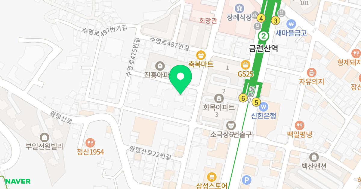 이린타워빌3 위치 지도 - 부산광역시 수영구 수영로481번길 7