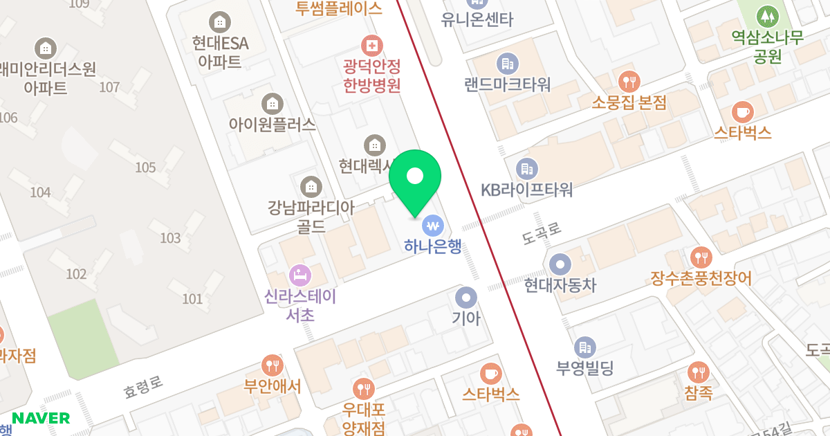 에피소드 강남 262 위치 지도 - 서울특별시 서초구 강남대로 299