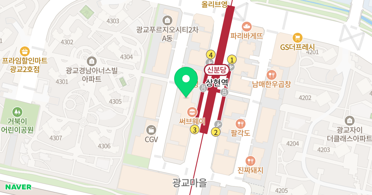 광교2차 푸르지오시티 C동 위치 지도 - 경기도 용인시 수지구 광교중앙로 305