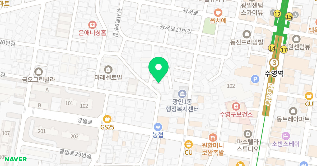 엘이즈G12 위치 지도 - 부산광역시 수영구 광일로20번길 20-2