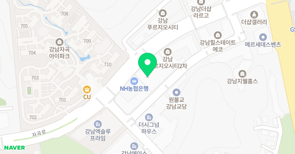 빌리브 파비오 더 까사 위치 지도 - 서울특별시 강남구 자곡로 186
