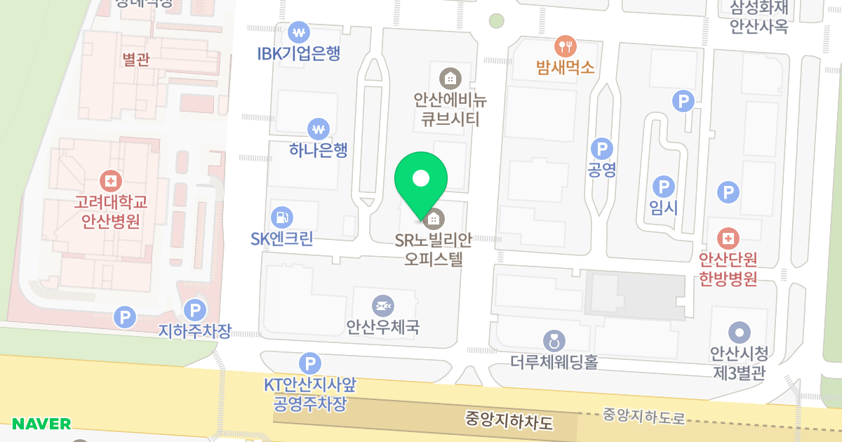 SR노빌리안 위치 지도 - 경기도 안산시 단원구