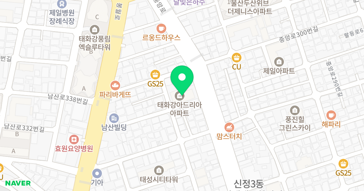태화강 아드리아 위치 지도 - 울산광역시 남구 중앙로 297
