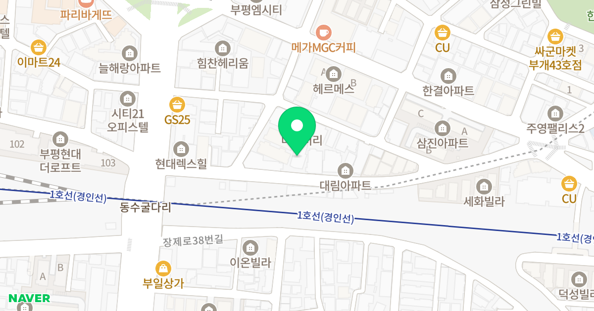 삼성캐슬 위치 지도 - 인천광역시 부평구 동수천로 13