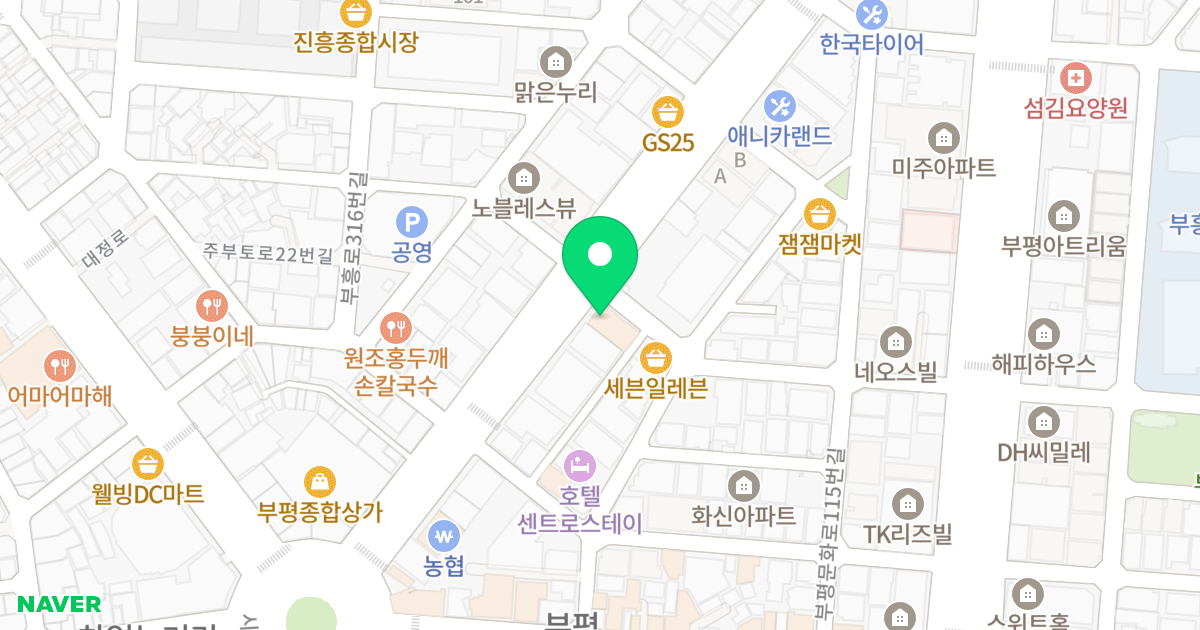 더홈 위치 지도 - 인천광역시 부평구 장제로109번길 29-2