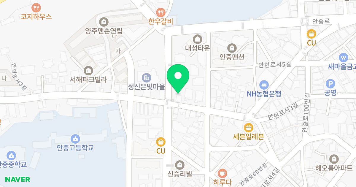 주건축물제1동(256-49) 위치 지도 - 경기도 평택시 안중읍 안현로서3길 58