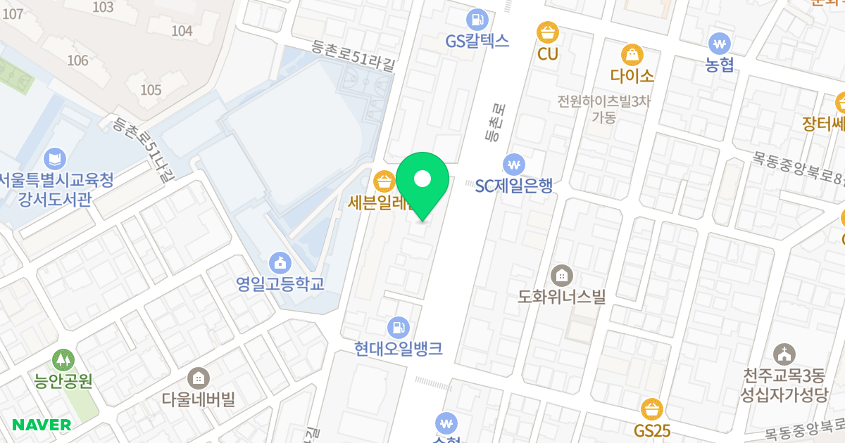 더 해담 위치 지도 - 서울특별시 강서구 등촌로 197