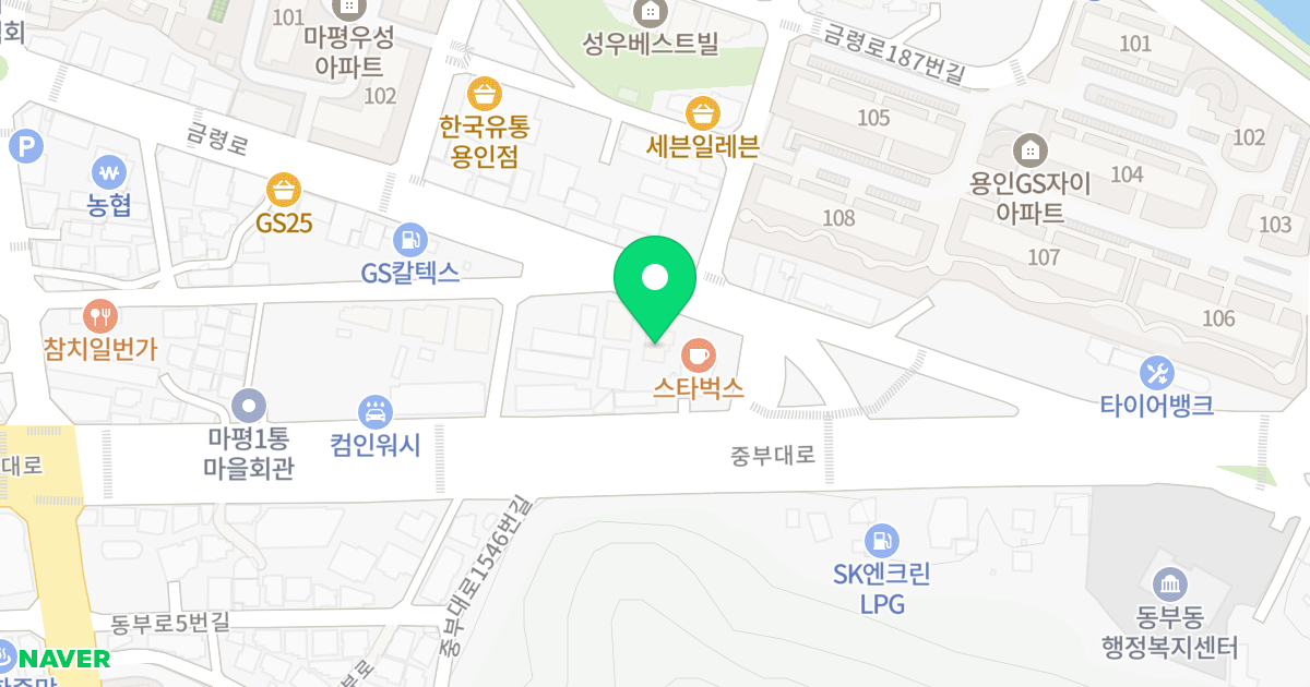빌폴라리스C동 위치 지도 - 경기도 용인시 처인구 금령로 186