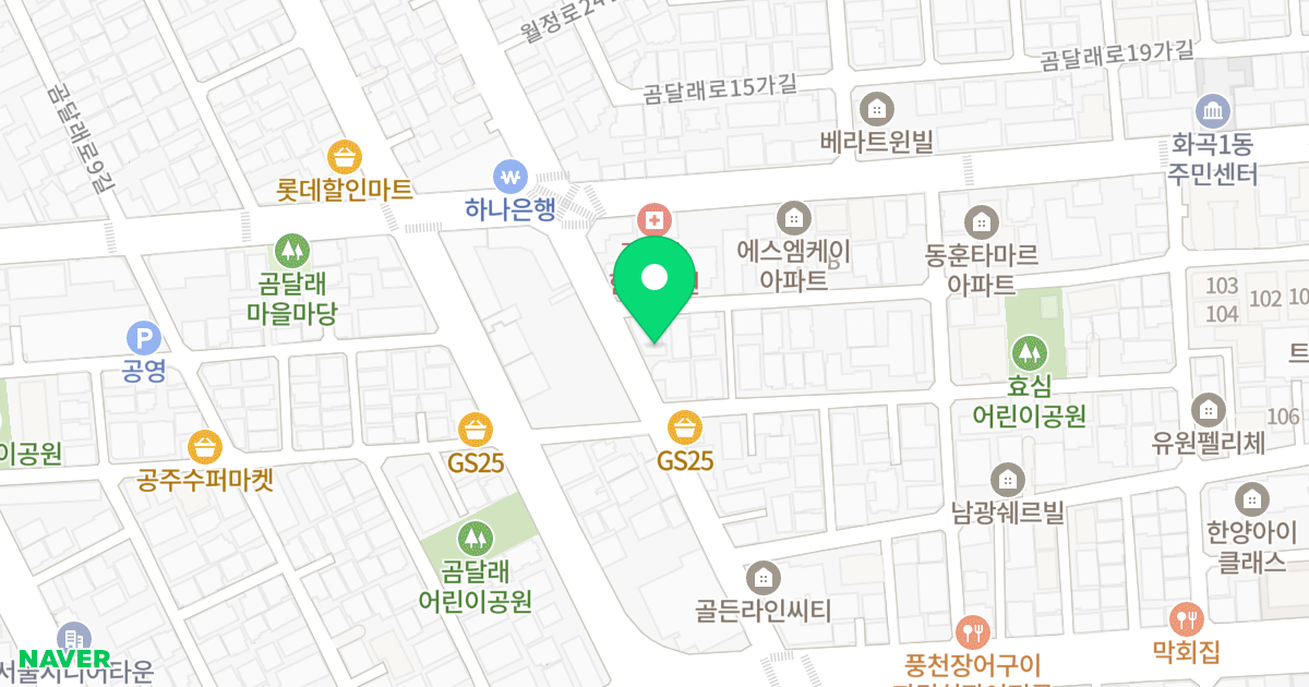 리치7 위치 지도 - 서울특별시 강서구 월정로 116
