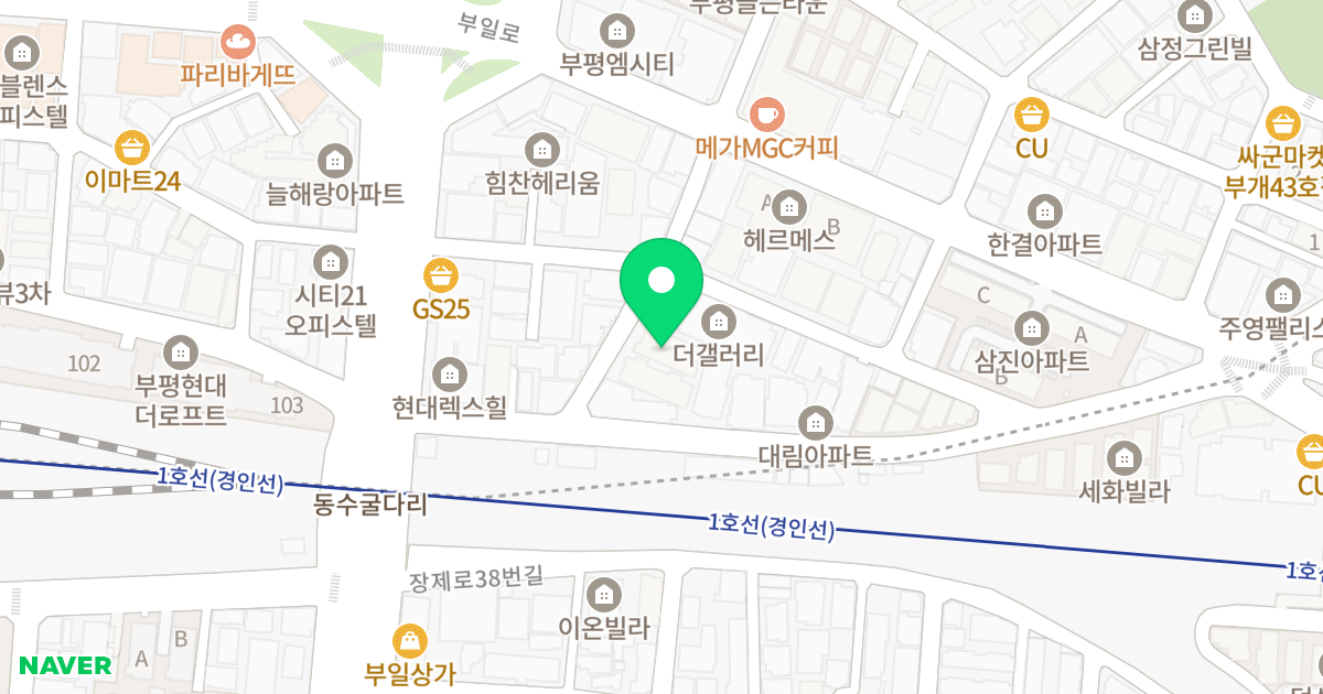 리코팰리스 1차 위치 지도 - 인천광역시 부평구 동수천로7번길 10