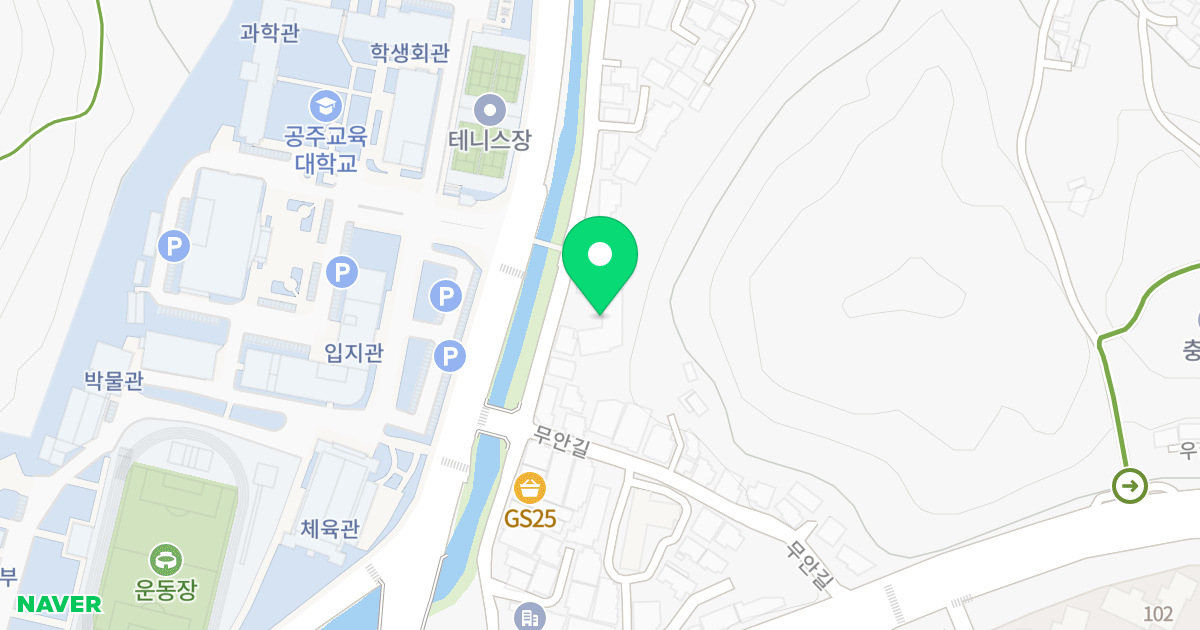 계룡오피스텔 위치 지도 - 충청남도 공주시 제민천2길 24