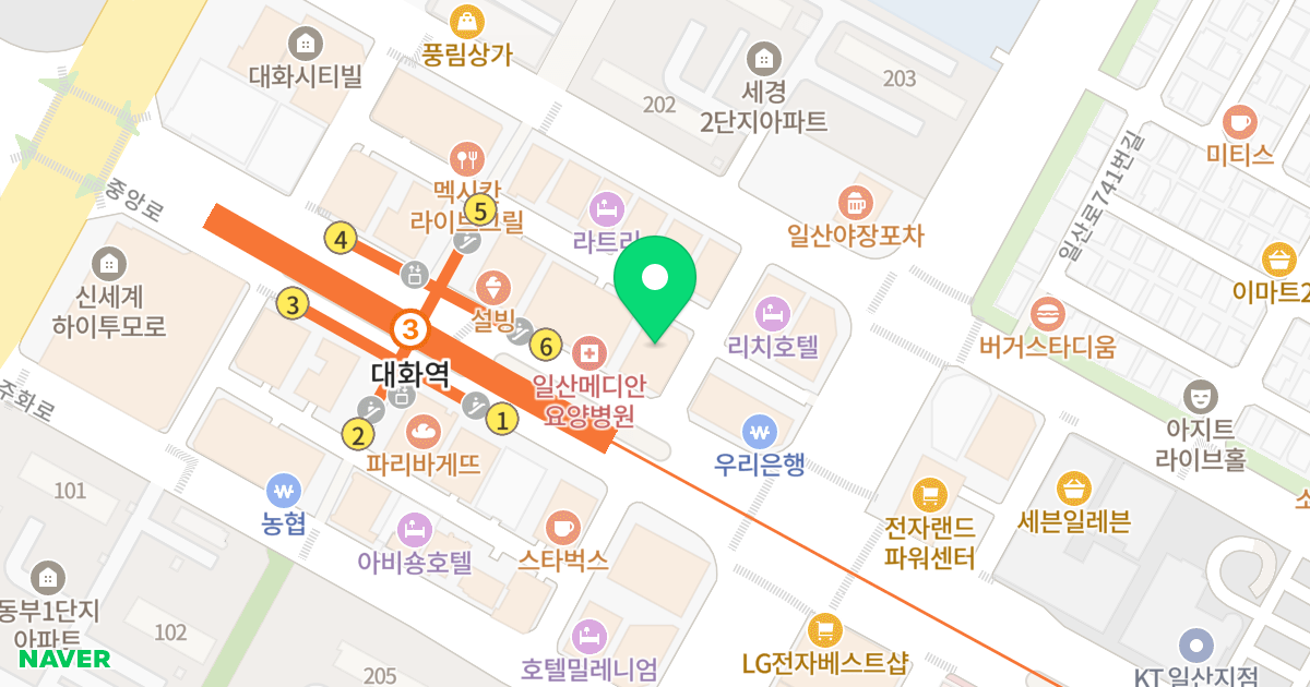 다산스카이빌 위치 지도 - 경기도 고양시 일산서구 중앙로 1560