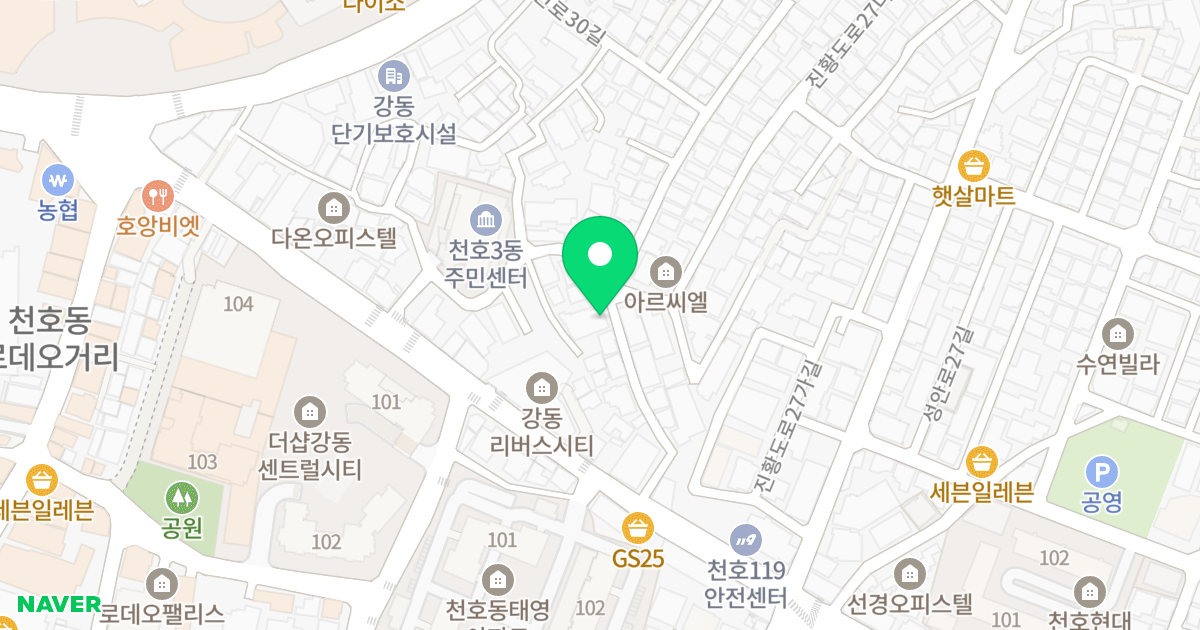 더하임 위치 지도 - 서울특별시 강동구 진황도로25길 19
