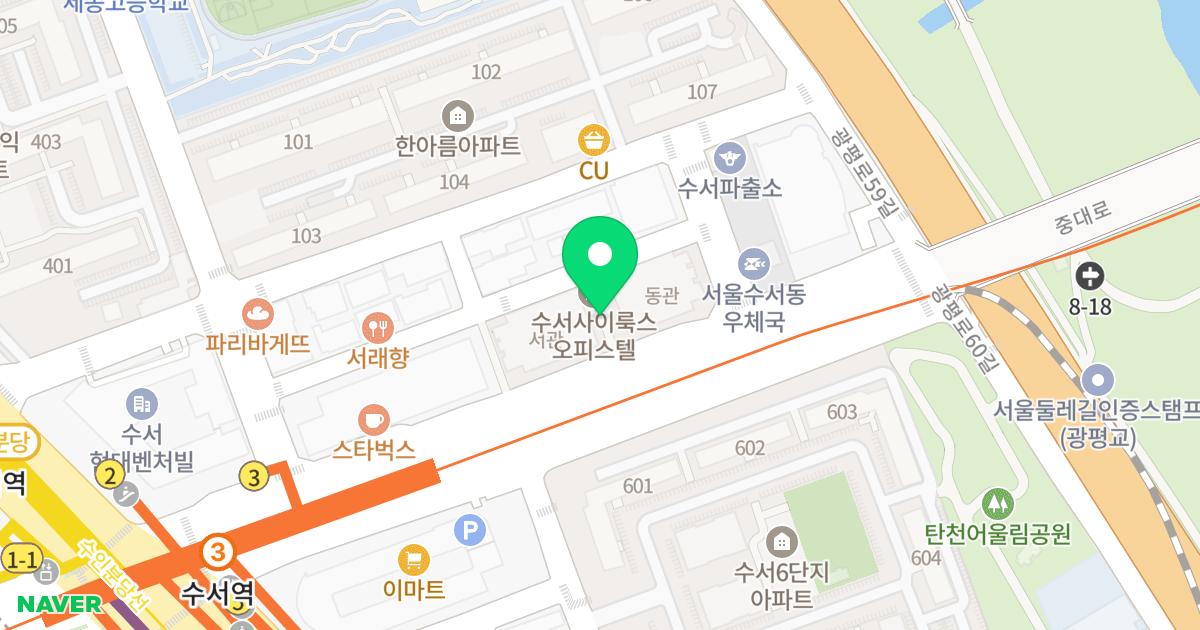 사이룩스 위치 지도 - 서울특별시 강남구 광평로 295