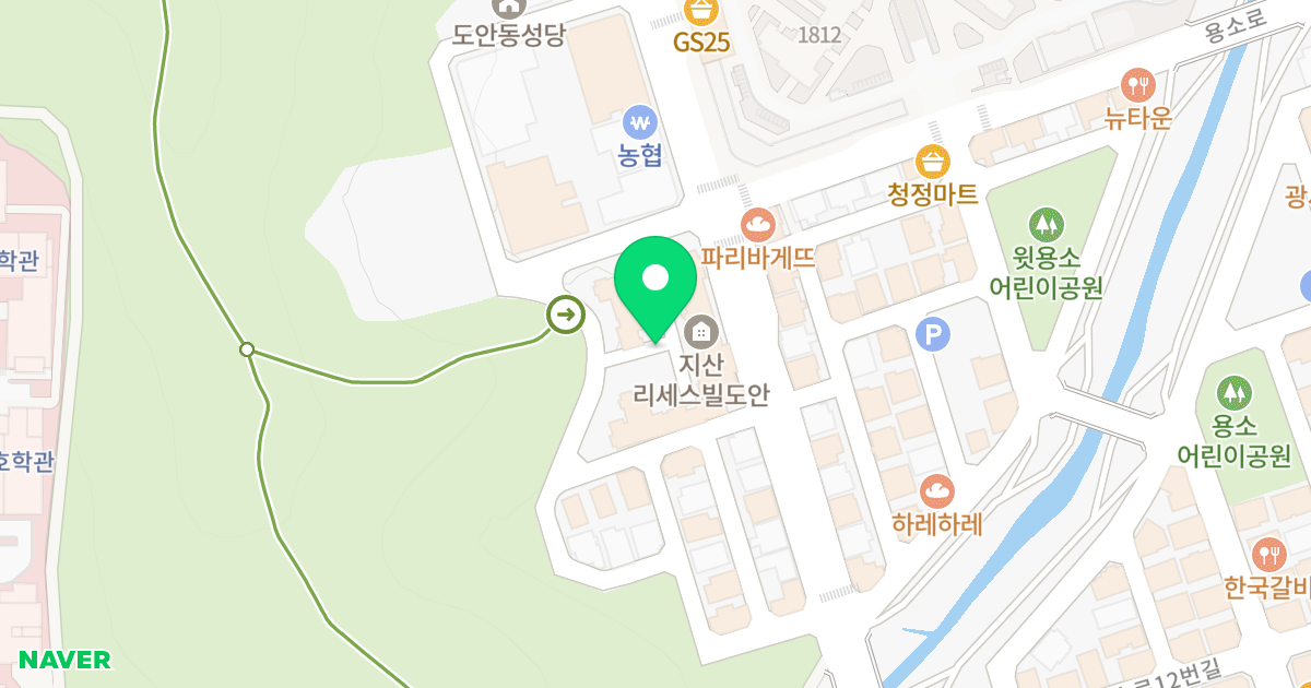 리세스빌 위치 지도 - 대전광역시 서구 원도안로25번길 52