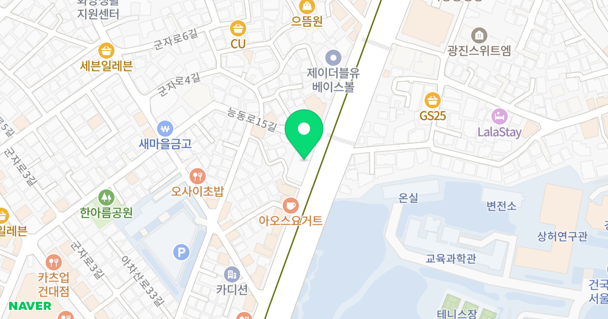 테라팰리스 건대4차 위치 지도 - 서울특별시 광진구 능동로 157