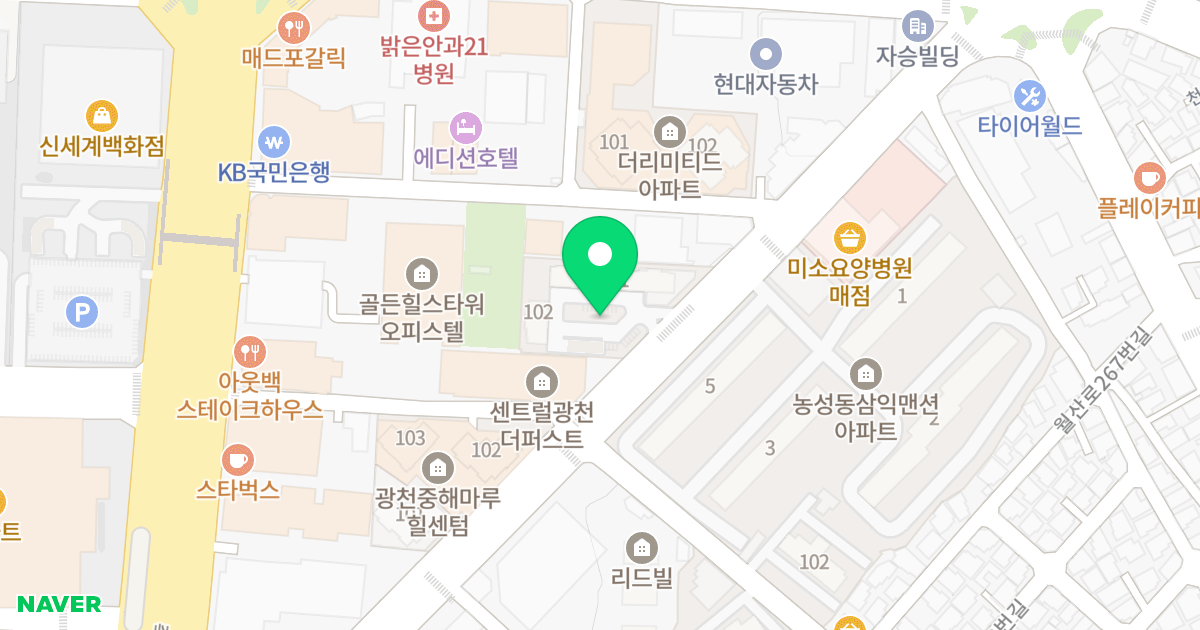 광천 프라임 아너팰리스 위치 지도 - 광주광역시 서구 내방로 423