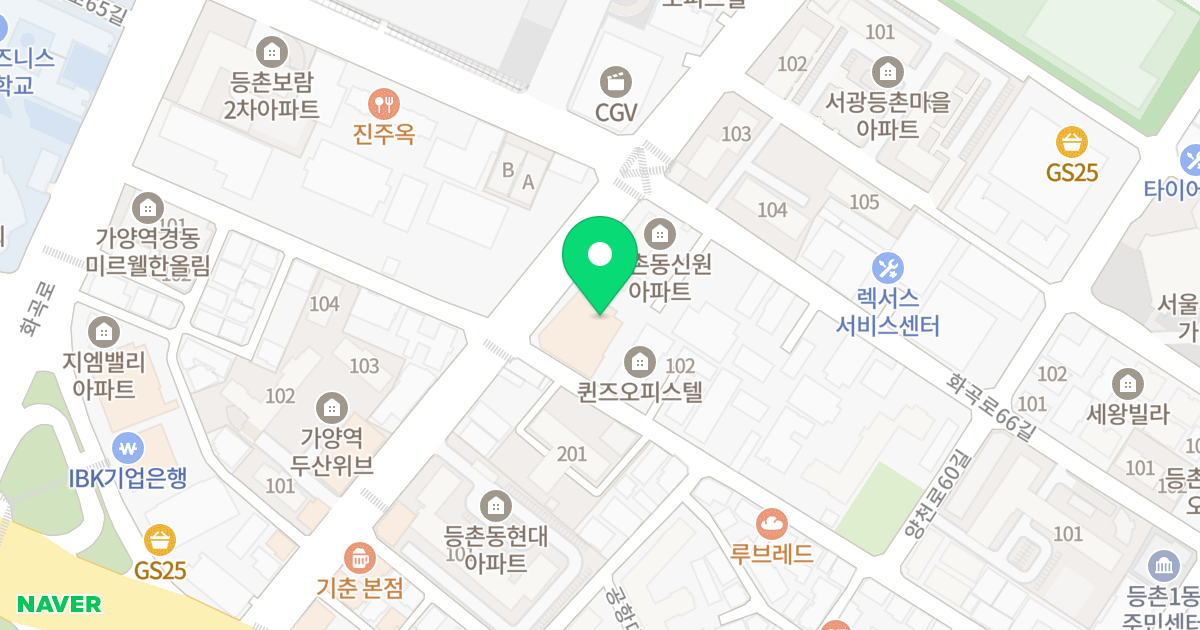 (641-11) 위치 지도 - 서울특별시 강서구 공항대로45길 44