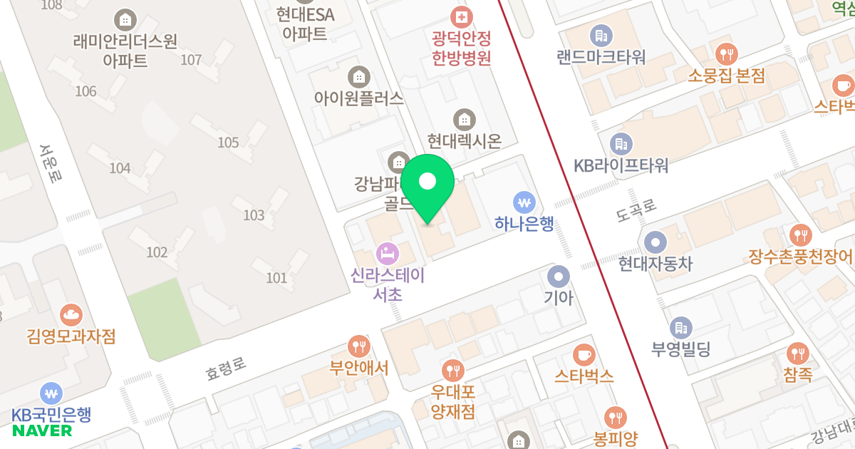 강남 삼부르네상스시티 위치 지도 - 서울특별시 서초구