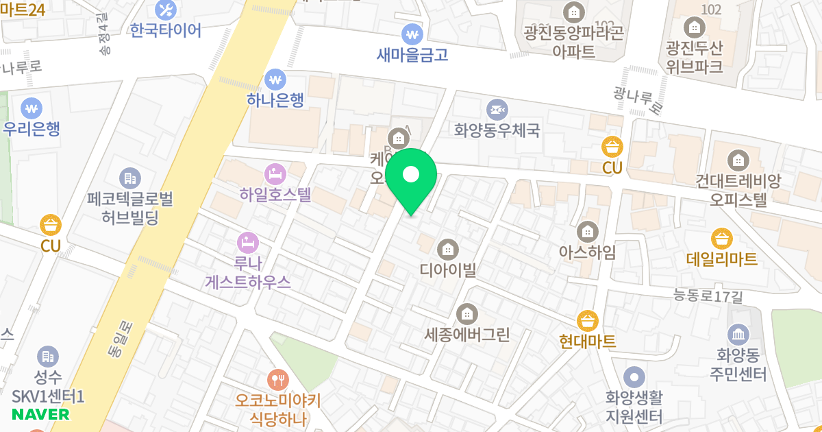 (19-40) 위치 지도 - 서울특별시 광진구 광나루로14길 17