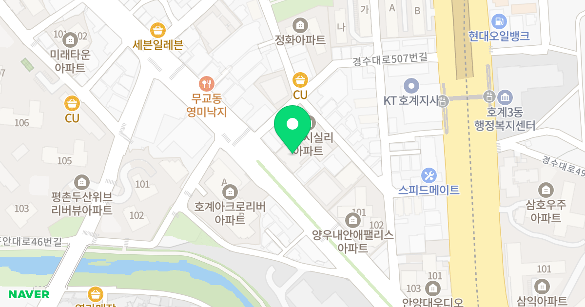 노블레스 뷰 위치 지도 - 경기도 안양시 동안구 엘에스로 30