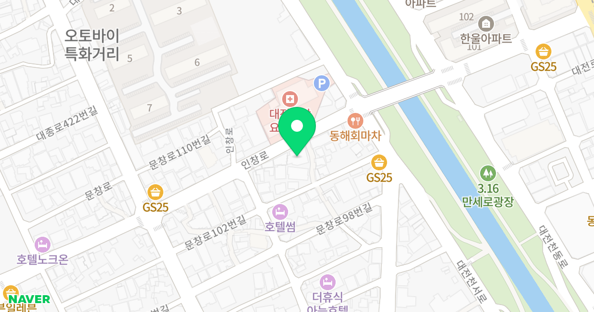 다솔리버 팰리스 2차 위치 지도 - 대전광역시 중구 인창로 34