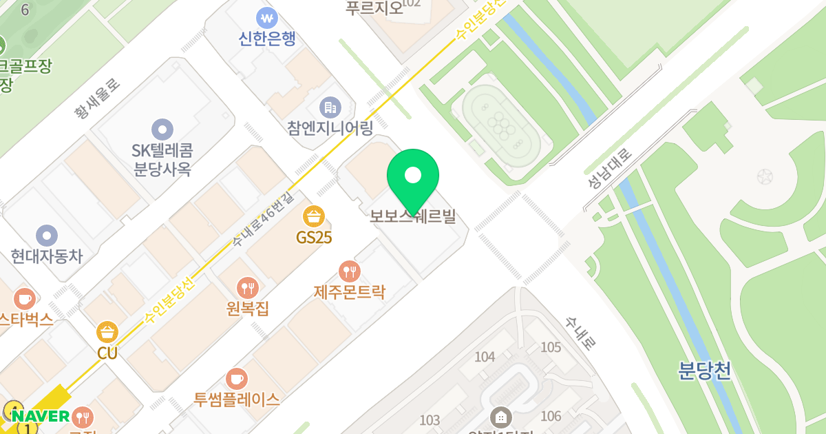 삼성보보스쉐르빌 위치 지도 - 경기도 성남시 분당구 수내로 54