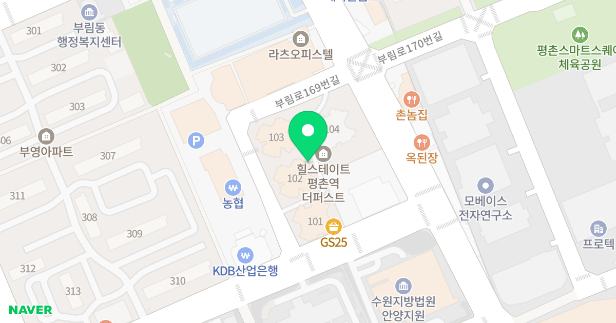 힐스테이트 평촌역 더 퍼스트 위치 지도 - 경기도 안양시 동안구 부림로169번길 41